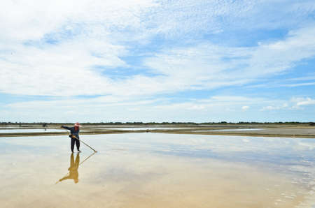 Salt harvesting in evaporation ponds の写真素材