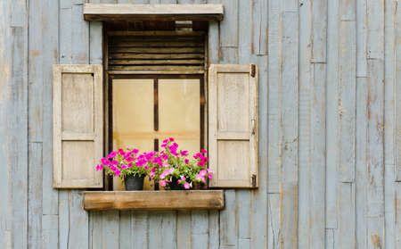 Open window with flower pot on wooden wallの写真素材