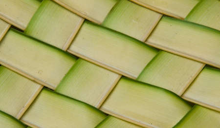 Coconut leaves weave pattern background