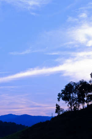 Colourful sky with forest silhouette at sunsetの写真素材