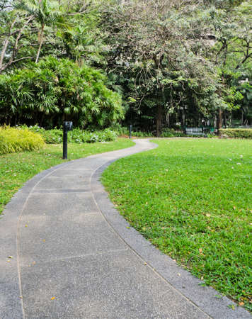 Stone pathway in garden