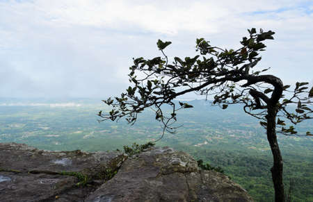 Mountain view in foggy 