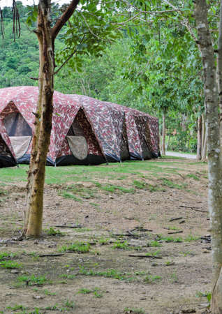 Row of camping tents の写真素材