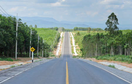 Agriculture plantation along the road