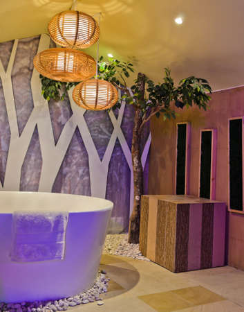 Bathroom interior のeditorial素材