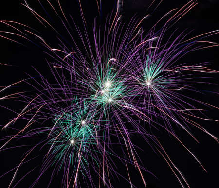 Colorful fireworks in the night sky 