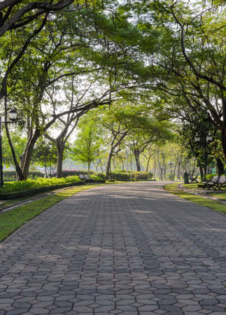 Stone pavement in the parkの写真素材