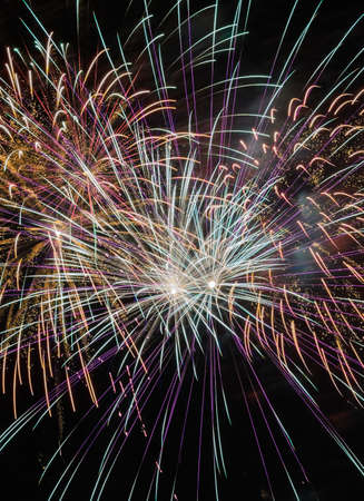 Colorful fireworks in the black sky 