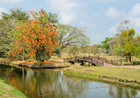 Beautiful park in springの写真素材