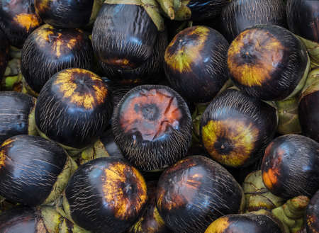 Fruit of Sugar palm or Asian palmyra palm background