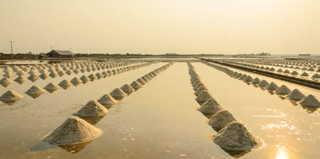 Sea salt field at sunset