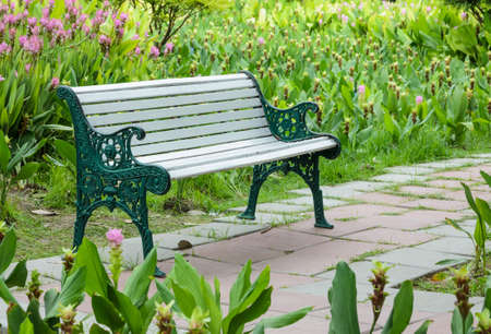 Bench in the gardenの写真素材