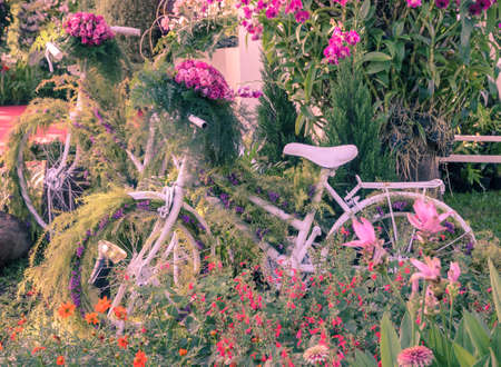 Vintage bicycle garden decorationの写真素材