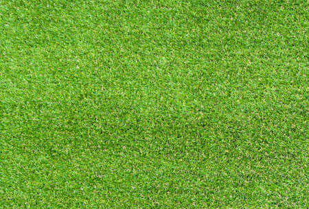Green grass texture backgroundの写真素材