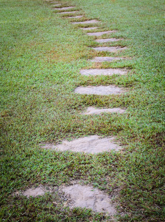 Stone pavement in the garden with green grass backgroundの写真素材