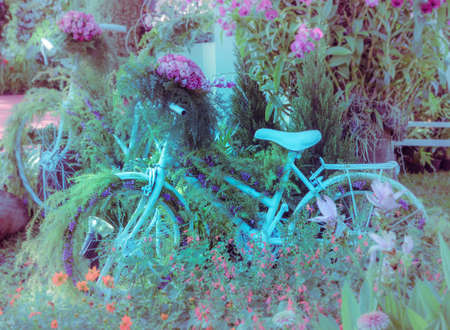 Vintage bicycle garden decorationの写真素材