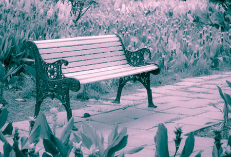 Bench in the garden in vintage color styleの写真素材