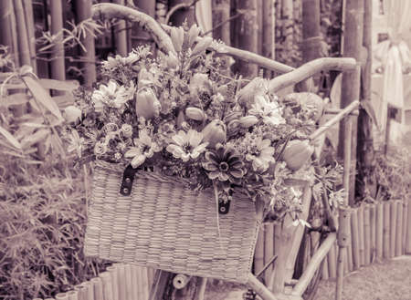 Wooden bicycle with a bucket of colorful flowersの写真素材