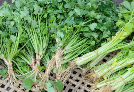 Bundle of fresh vegetables on street market in Thailandの写真素材