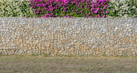 Decorated Bougainvillea flower on stone wall