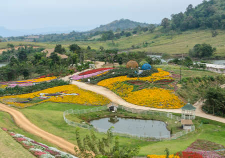 Beautiful view of ornamental flower gardenの写真素材