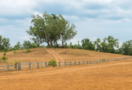 Nature landscape of Grass Hill Phukhao Ya or Bald Hill Khao Hua Lan in Ranong province Southern Thailandの写真素材
