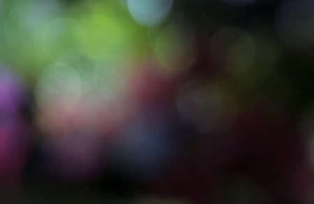 Defocused lights bokeh abstract backgroundの写真素材