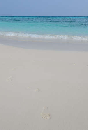 Beautiful white sand beach and crystal clear water of Koh Tachai, Similan National Park, Thailandの写真素材