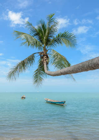 Tropical sea beach with coconut palm tree and longtail boat in Thailandの写真素材