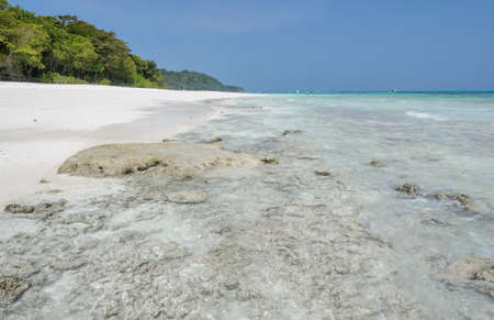 Beautiful white sand beach and crystal clear water of Koh Tachai Similan National Park Thailandの写真素材