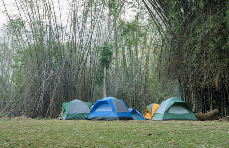 Colorful camping tents on grass in bamboo forestの写真素材