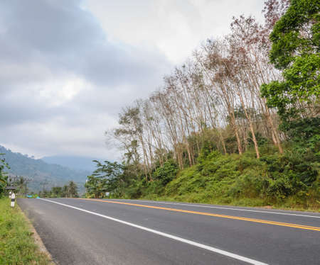 Asphalt countryside road with fog in the morningの写真素材