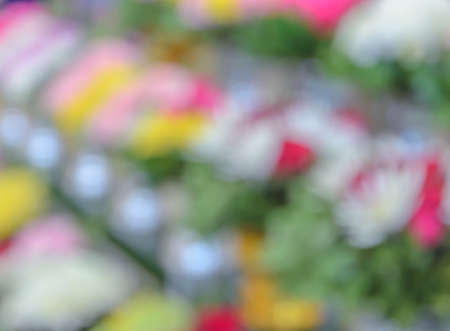 Defocused colorful flowers for abstract backgroundの写真素材