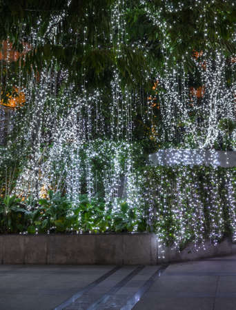 Beautiful Christmas lights hanging on tree illumintated at nightの写真素材