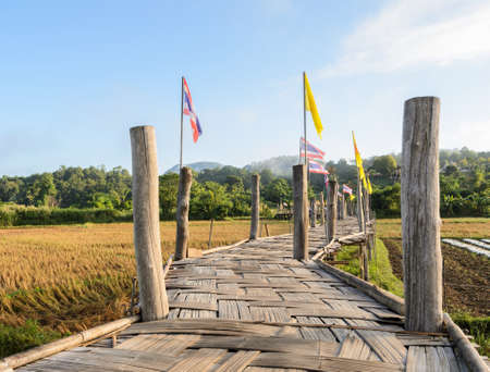 Beautiful view of Zu Tong Pae bamboo bridge pass rice field to the temple in Mae Hong Son, Thailand