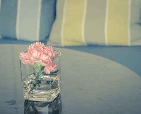 Pink carnation flower in a glass vase on table, vintage filtered effect image