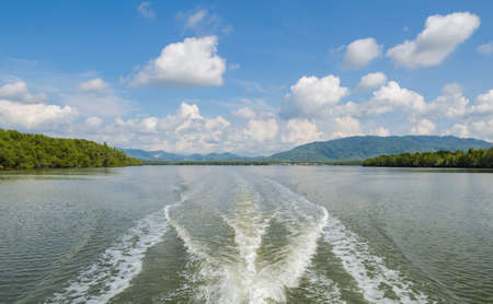 Landscape of tropical mangrove forest and long-tail fishing boat wake pattern in Phang Nga Bay National Park, Thailandの写真素材