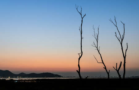 Silhouette dry tree and lake with mountain range background in twilight sky