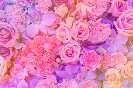 Pink flower background of rose, carnation and orchidの写真素材