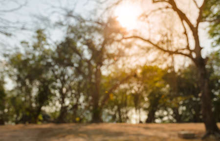 Blurred abstract nature green park with sunlight  backgroundの写真素材