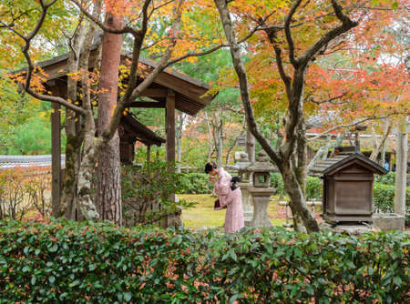 KYOTO, JAPAN - NOVEMBER 24, 2016: Unidentified tourist woman wear traditional Japanese Kimono praying at the shrine with autumn colored garden leaves at Adashino Nenbutsuji Temple in Arashiyama, Kyoto, Japanのeditorial素材