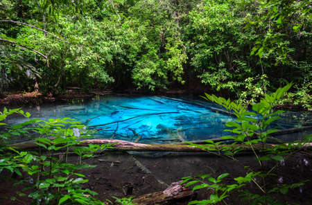 Emerald blue pool (Sra Morakot) in Krabi province, Thailand. Beautiful nature scene of crystal clear blue water in tropical rainforest.の写真素材