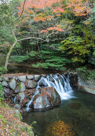 Waterfall at Minoo or Minoh park in autumn, Osaka, Japan. One of Japan's oldest national parks.のeditorial素材