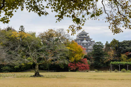 Japanese Autumn color  in Korakuen garden and Okayama Castle on background in Okayama, Japanのeditorial素材