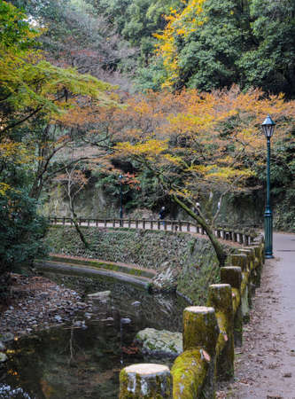Minoo or Minoh park in autumn, Osaka, Japan. One of Japan's oldest national parks.のeditorial素材