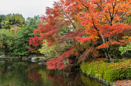 Autumn scenery with red maple trees and pond of Kokoen garden in Himeji, Japan