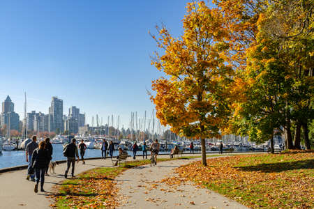 Vancouver, Canada - October 20,2018: Unidentified tourists at Stanley Park with  autumn color of Maple trees along the seawall path  in Vancouver, British Columbia, Canada.のeditorial素材