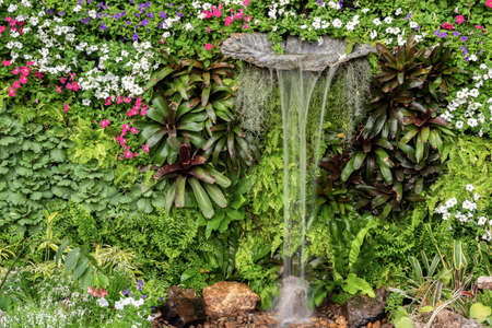 Vertical lush green leaves plant and flower garden decorative wall with waterfallの写真素材