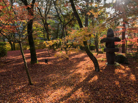 Autumn garden with red maple leaves on ground at Eikando or Zenrinji Temple in Kyoto, Japan.  Eikando is most famous for its stunning of autumn colorsの写真素材