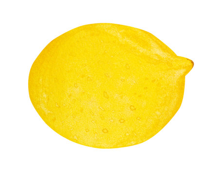 Watercolor ripe lemon fruit hand drawn isolated on white backgroundの写真素材